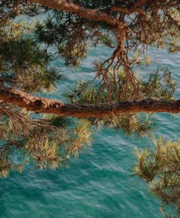 Dove il mare cambia tutto Blau Punta Reina Resort Maiorca Dove il mare cambia tutto Blau Punta Reina Resort Maiorca
