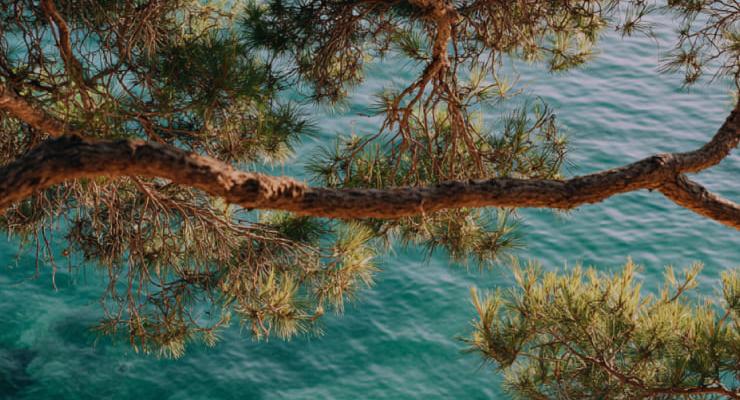 Donde el mar lo cambia todo Blau Punta Reina Mallorca Donde el mar lo cambia todo Blau Punta Reina Mallorca