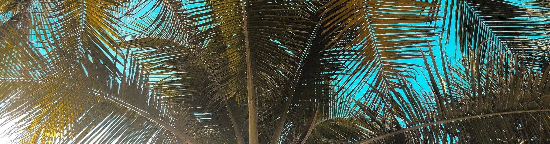 Blau Punta Reina Resort - Majorque - Blau Punta Reina Resort - Majorque -